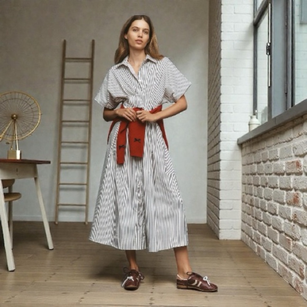 Anthropologie The Tobie Button-Front Pleated Shirt Dress by Exquise Size S